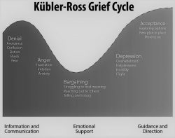 stages of grief @ Happy Head Counselling